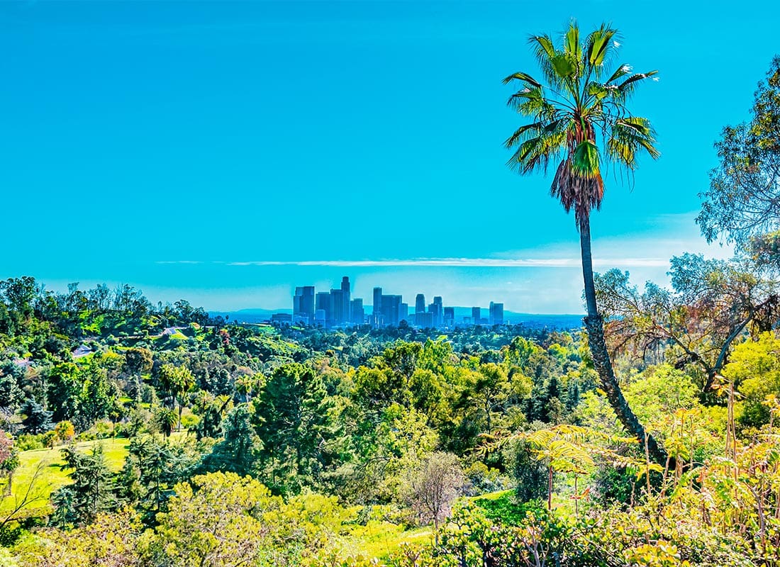 Woodland Hills, CA - Los Angeles Skyline is Surrounded by Trees From Elysian Park High Above the City